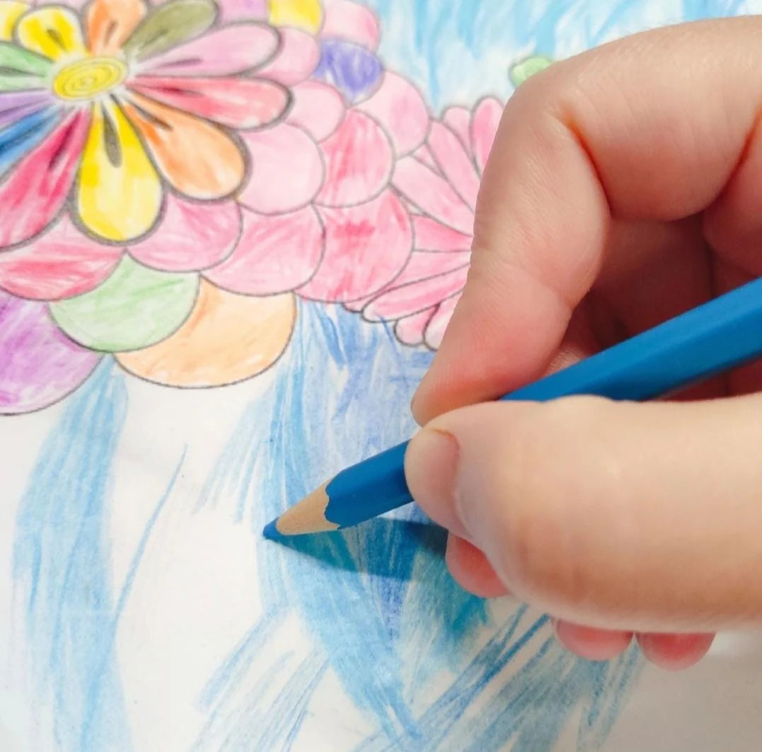 Genuine Colored Pencil Set for Kids & Students – Available in 12, 24, 36, Variants