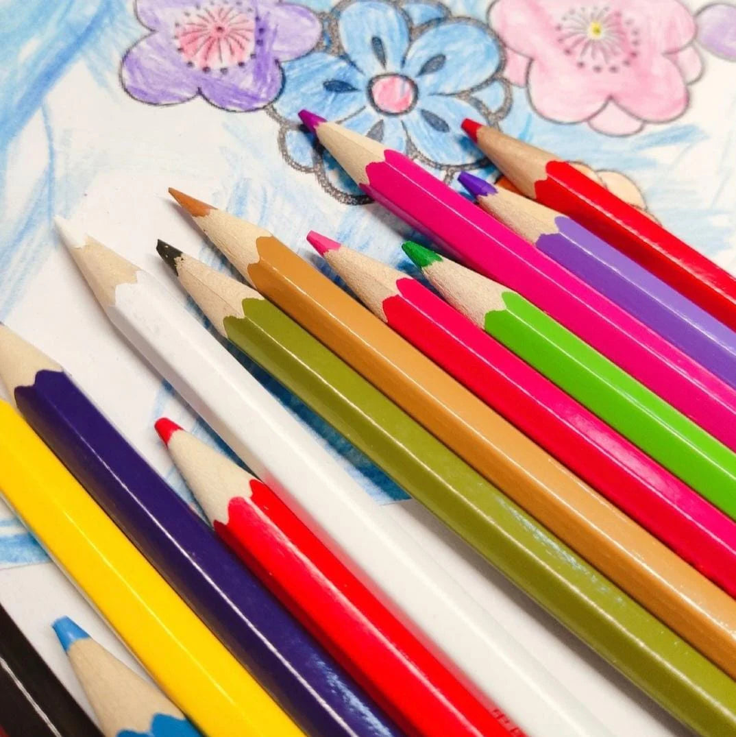 Genuine Colored Pencil Set for Kids & Students – Available in 12, 24, 36, Variants