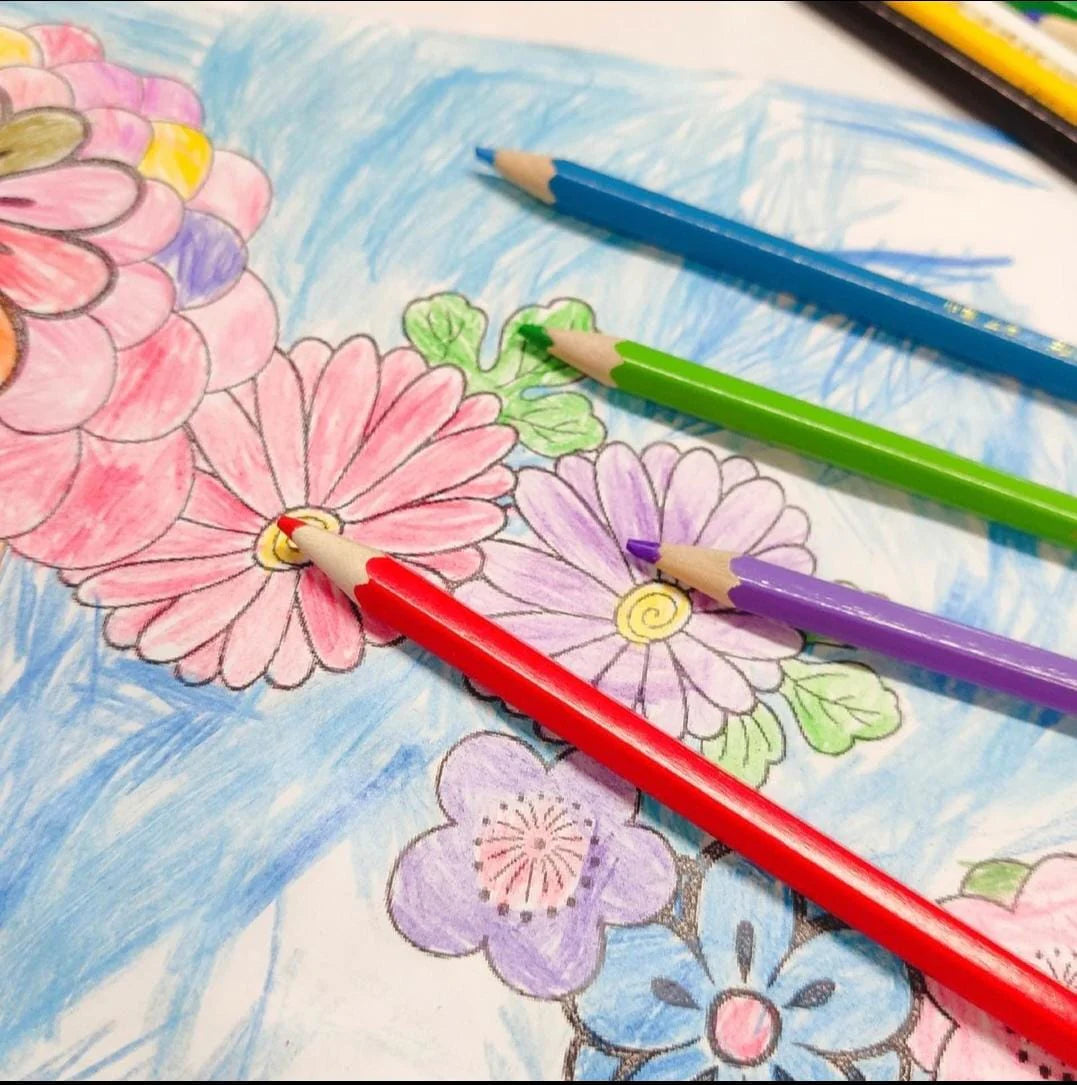 Genuine Colored Pencil Set for Kids & Students – Available in 12, 24, 36, Variants